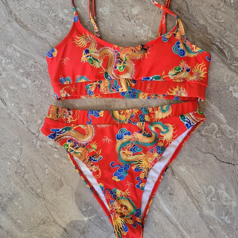 Shein Traditional Dragon Bikini